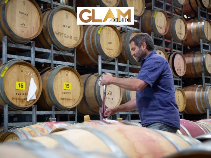 Photo for: SA winery wins Red Wine Producer of the Year at the prestigious USA 2025 Sommelier Choice Awards