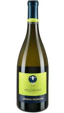 Logo for: Vellodoro Pecorino 2022