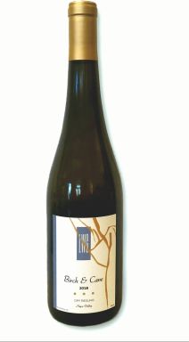 Logo for: Birch & Cane