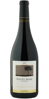 Logo for: Confluence of Nature² 