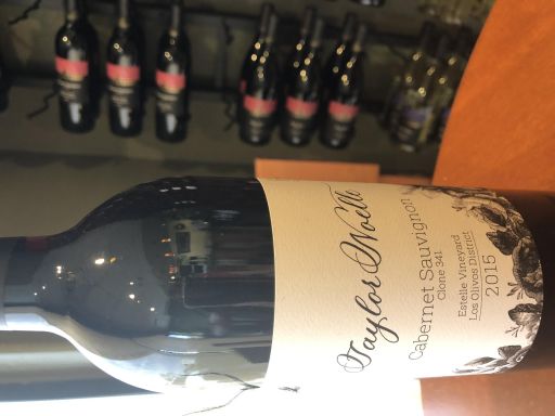 Logo for: Taylor Noelle