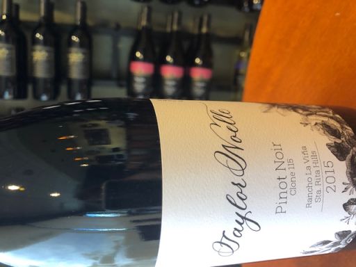 Logo for: Taylor Noelle 