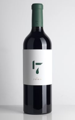 Logo for: 17 by Pinea