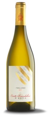 Logo for: Conte Brandolini Pinot Grigio