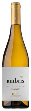 Logo for: Ambris