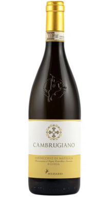 Logo for: Verdiccho di Matelica Riserva DOCG Cambrugiano