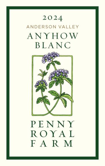 Photo for: Anyhow Blanc 