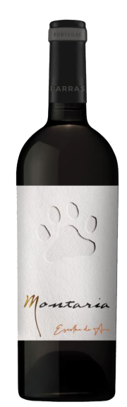 Photo for: Montaria Escolha do Ano 2019