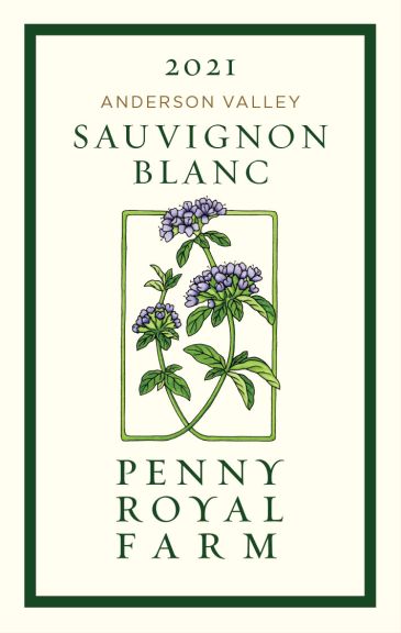 Photo for: Sauvignon Blanc