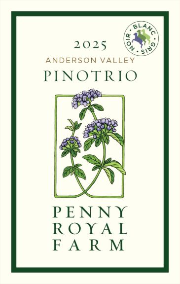 Photo for: PinoTrio 
