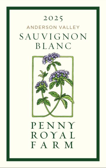 Photo for: Sauvignon Blanc 