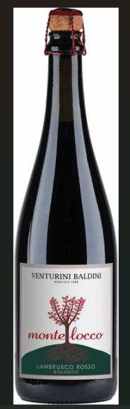 Photo for: Montelocco