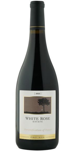 Photo for: Personification of Power