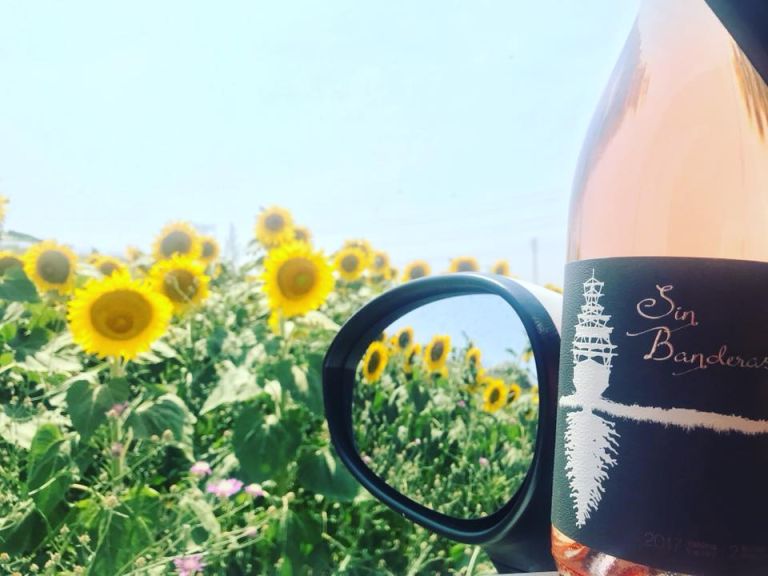 Photo for: Sin Banderas