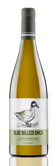 Photo for: Blue Billed Duck