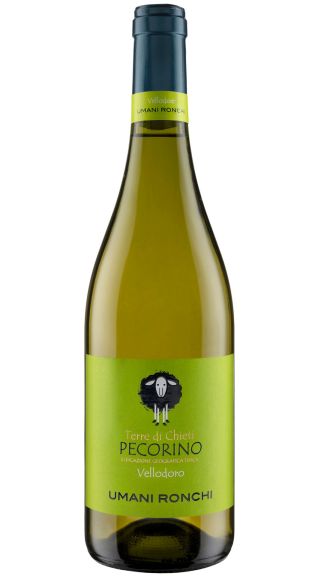 Photo for: Vellodoro Peccorino