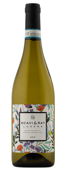 Photo for: Scavi & Ray Lugana DOC