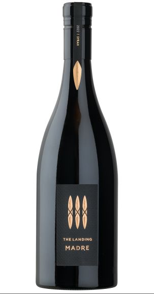 Photo for: Madre Syrah 2022