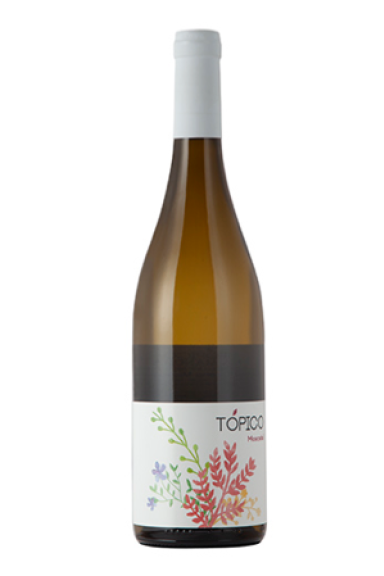 Photo for: Topico Moscatel